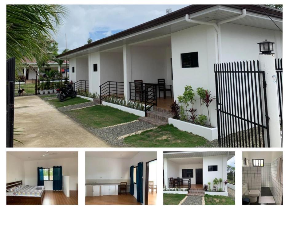 Palm Tree Lodge Moalboal Bagian luar foto